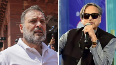 ‘हमें रोकने के लिए कहने की कोई जरूरत नहीं थी’: शशि थरूर ने राहुल गांधी के ‘नरेंद्र, आत्मसमर्पण’ पर प्रतिक्रिया दी; देखें वीडियो | भारत समाचार ‘हमें रोकने के लिए कहने की कोई जरूरत नहीं थी’: शशि थरूर ने राहुल गांधी के ‘नरेंद्र, आत्मसमर्पण’ पर प्रतिक्रिया दी; देखें वीडियो | भारत समाचार