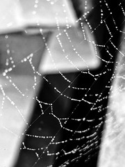 पेरलेन। @elbphilharmonie