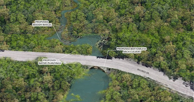 तीन विस्कॉन्सिन परियोजनाओं को पर्यावास बहाली योजनाओं के लिए इंजीनियरिंग और डिजाइन हेडस्टार्ट मिलता है