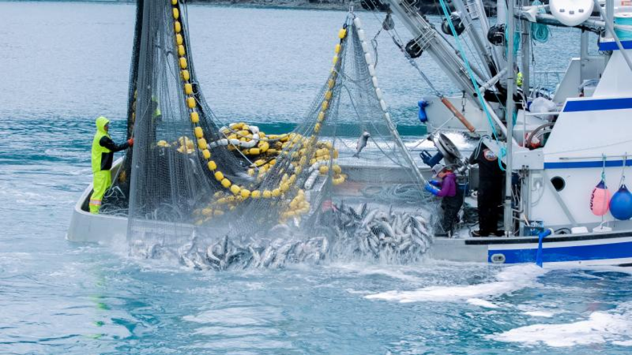 बिडेन-हैरिस प्रशासन ने अमेरिका में निवेश के एजेंडे के हिस्से के रूप में क्षेत्रीय मत्स्य प्रबंधन परिषदों के लिए मिलियन की घोषणा की बिडेन-हैरिस प्रशासन ने अमेरिका में निवेश के एजेंडे के हिस्से के रूप में क्षेत्रीय मत्स्य प्रबंधन परिषदों के लिए मिलियन की घोषणा की