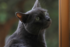 IMG_1889 ओलाफ