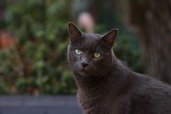 IMG_2176 ओलाफ IMG_2176 ओलाफ