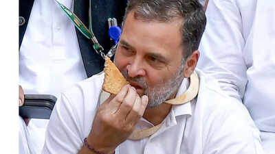 सेवानिवृत्त अधिकारियों ने संसद विरोध पर राहुल गांधी से माफी की मांग की | भारत समाचार