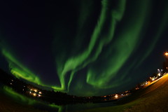 2डी3ए0936 सोडांकिला