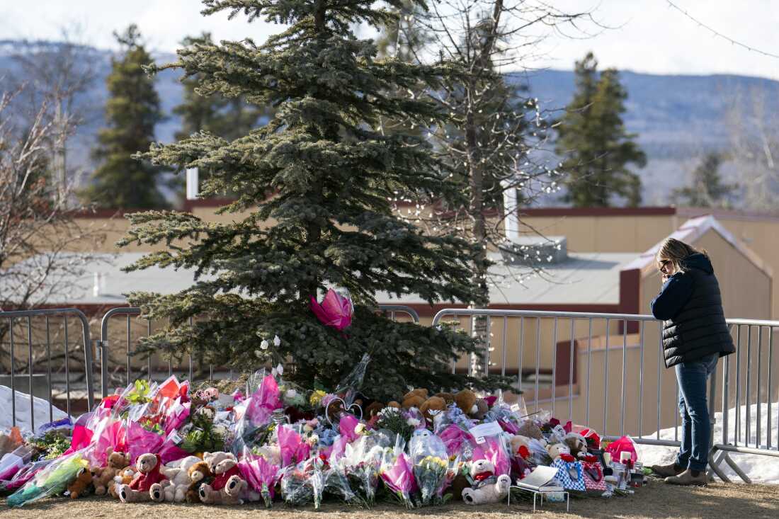 टंबलर रिज मास शूटर द्वारा चैटजीपीटी: एनपीआर के उपयोग पर परिवारों ने ओपनएआई पर मुकदमा दायर किया